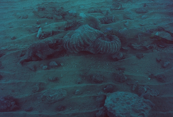 http://www.emanueletorti.it/files/gimgs/th-36_10_v2.jpg