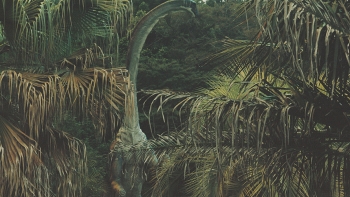 http://www.emanueletorti.it/files/dimgs/thumb_3x350_1_36_1333.jpg