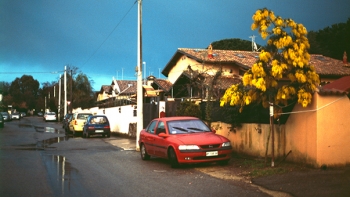 http://www.emanueletorti.it/files/dimgs/thumb_3x350_1_53_1643.jpg