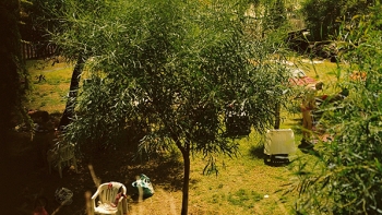 http://www.emanueletorti.it/files/dimgs/thumb_3x350_1_72_2389.jpg