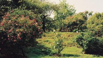 http://www.emanueletorti.it/files/dimgs/thumb_3x350_1_75_2674.jpg