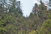 http://www.emanueletorti.it/files/gimgs/th-62_Photo09_9A2.jpg