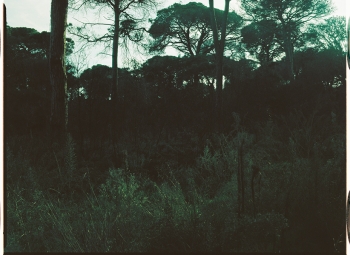 http://www.emanueletorti.it/files/gimgs/th-78_3_IMG00001.jpg