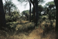 http://www.emanueletorti.it/files/gimgs/th-80_1_IMG00007_v3.jpg